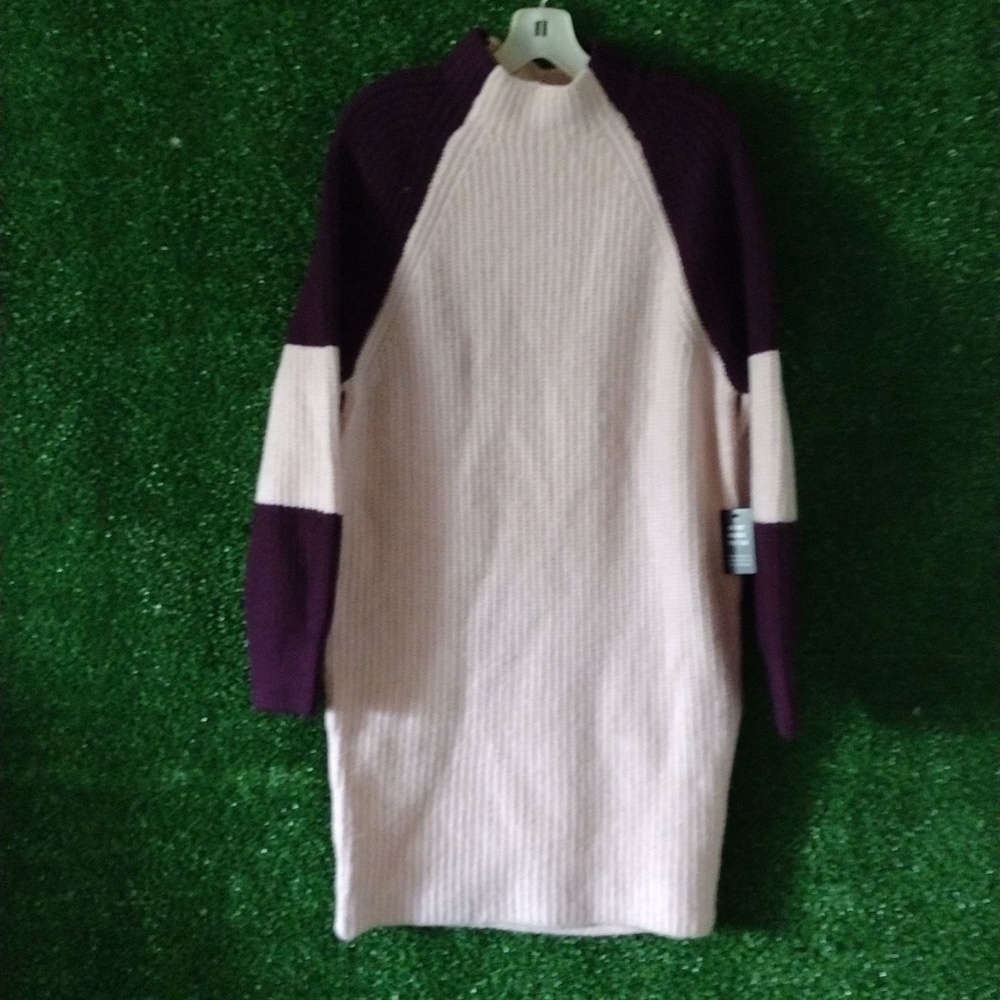 Express Pink and Burgundy Long Sleeve Dress - Picture 4 of 4